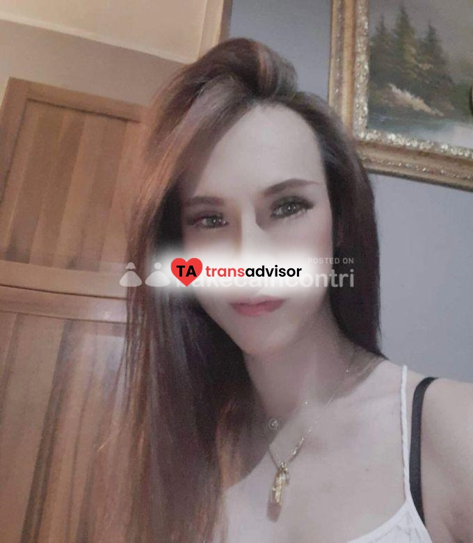 MILKY TRANS