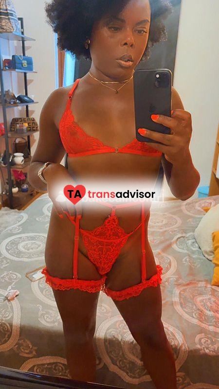 TRANS XXL LARY TRANS