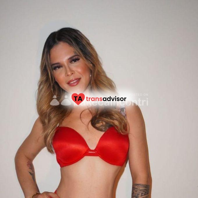 TRANS  NOVITA