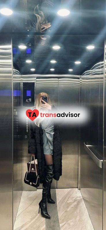 SARA TRANS