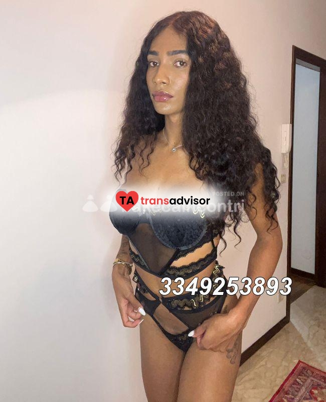 ZARA DIOR TRANS