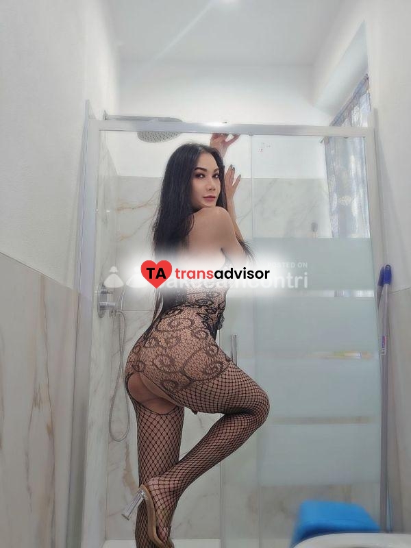 ZARA THAI TRANS