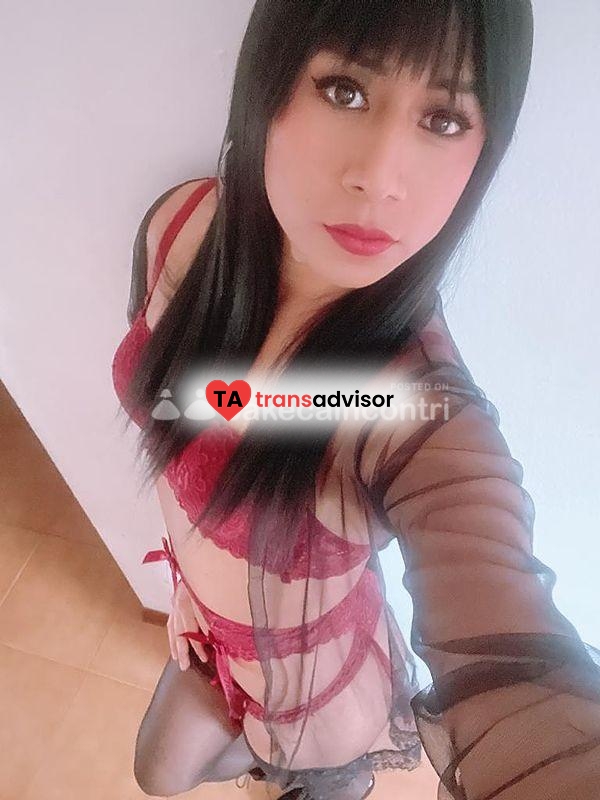 AMBAR LATINA