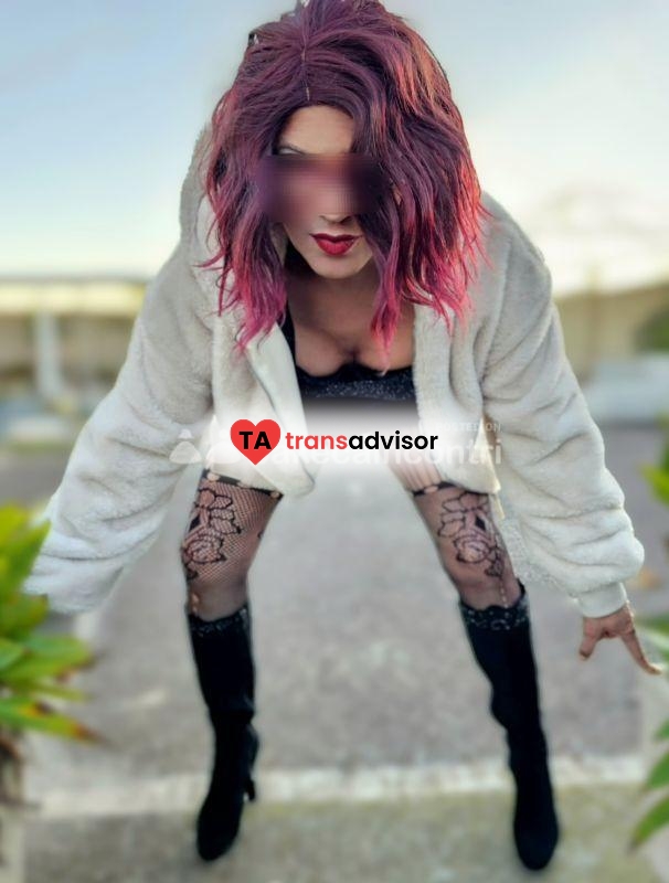 SIRIA