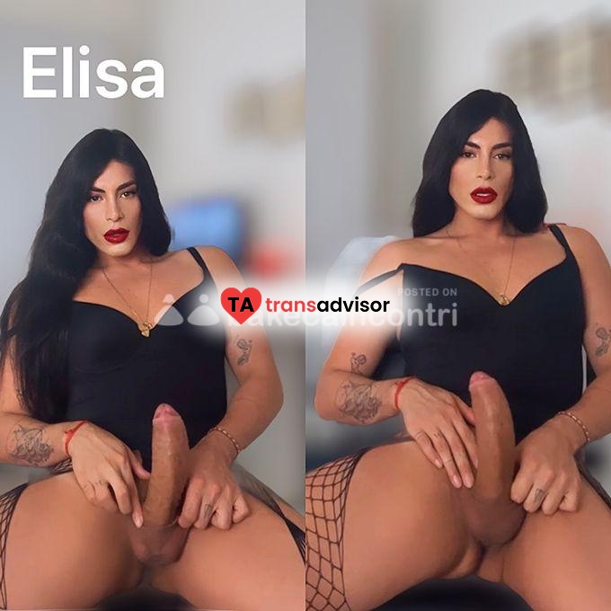 ELISA XXL