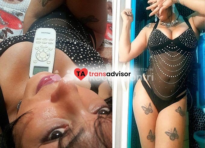 Trans brasiliana