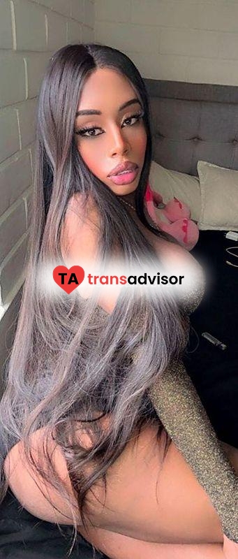 KATRINA TRANS