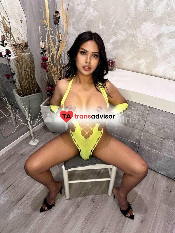 Bella trans